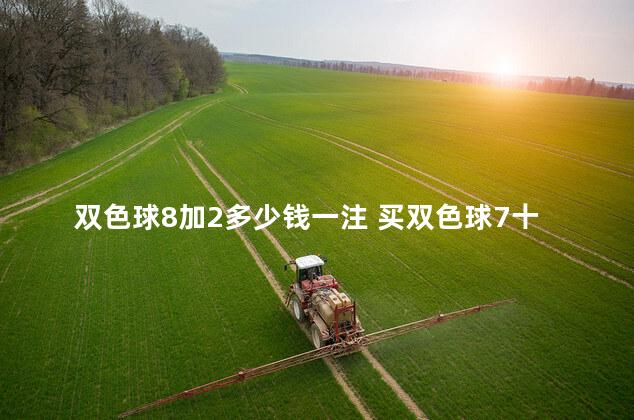 双色球8加2多少钱一注 买双色球7十3多少钱一注